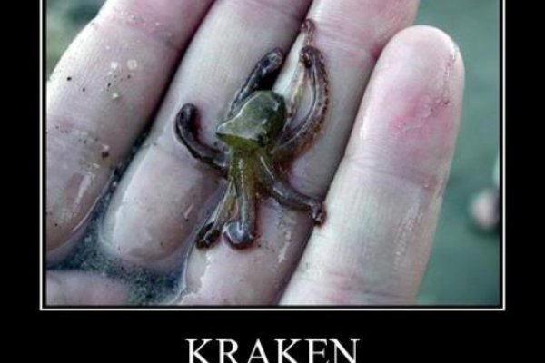 Зеркало kraken тор ссылка рабочее