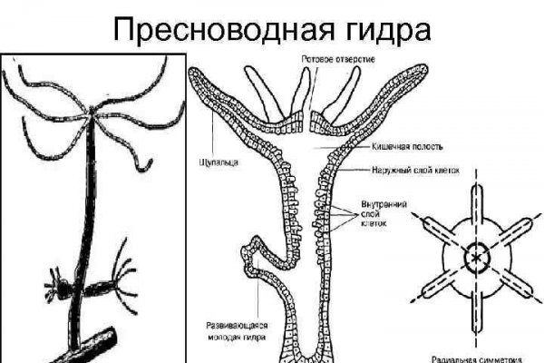 Что будет если зайти в кракен