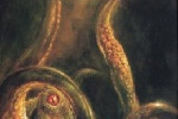 Kraken торговая площадка ссылка